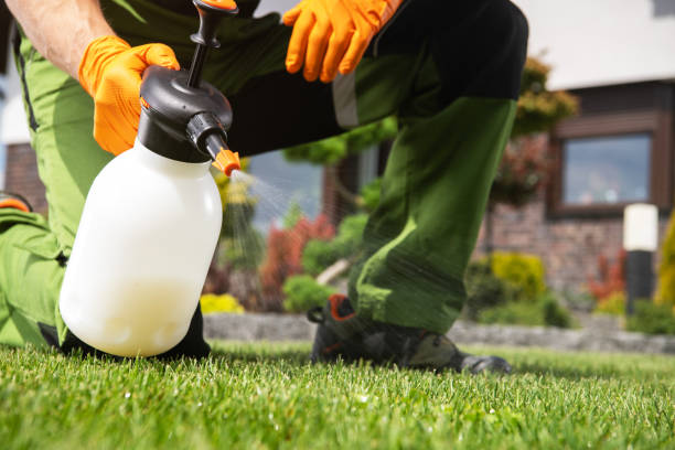 Best Wasp Removal Services  in Royal Hawaiian Estates, HI