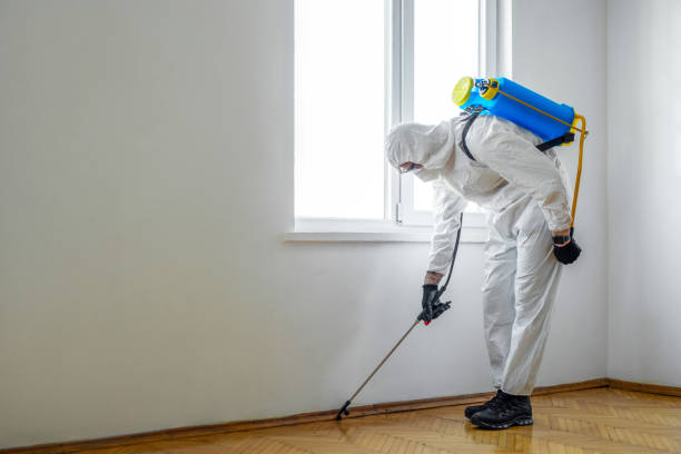 Best Residential Pest Control  in Royal Hawaiian Estates, HI