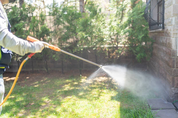 Professional Pest Control in Royal Hawaiian Estates, HI
